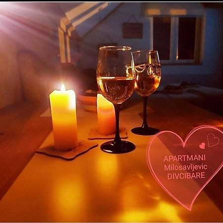 Apartmani Milosavljevic Divčibare Kültér fotó