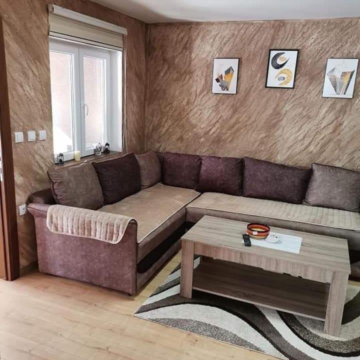 Apartmani Milosavljevic Divčibare Kültér fotó