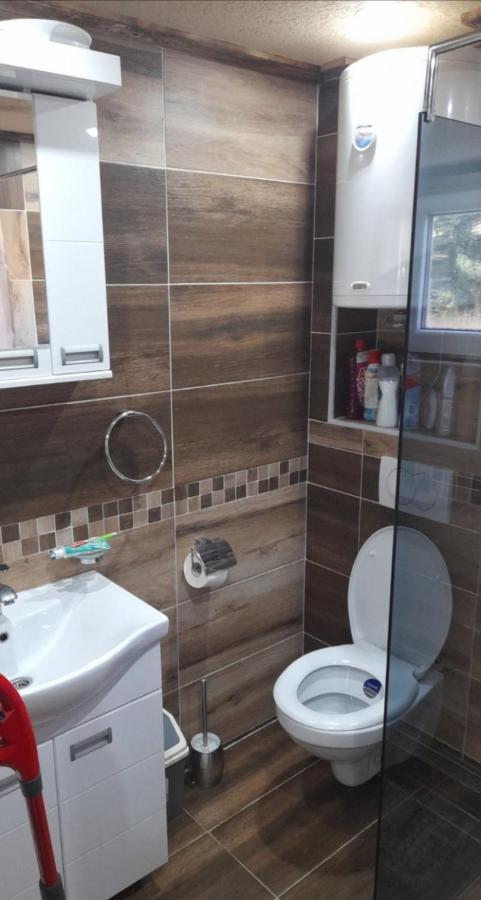 Apartmani Milosavljevic Divčibare Kültér fotó